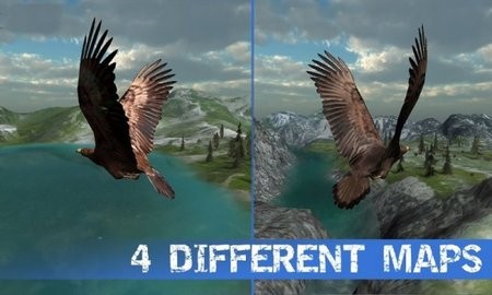 野鹰模拟器游戏