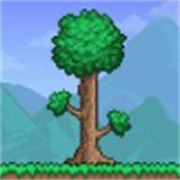 泰拉瑞亚pe灾厄