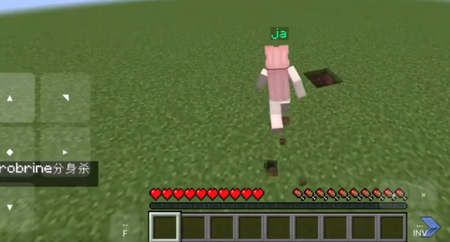 烦人的村民直装版