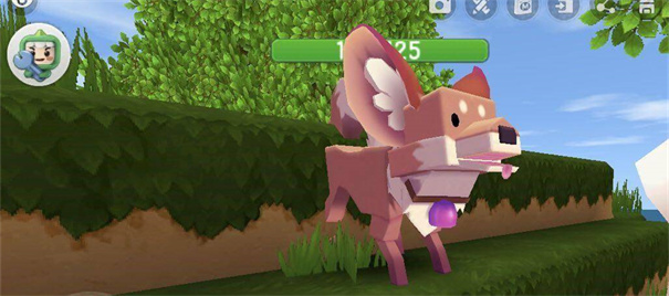 迷你世界0.44.2联机版