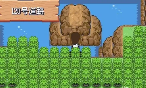 口袋妖怪漆黑的魅影5.0EX+BW