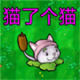 猫了个猫