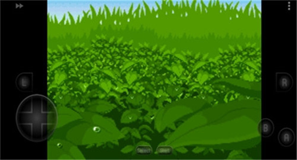 口袋妖怪四季之约