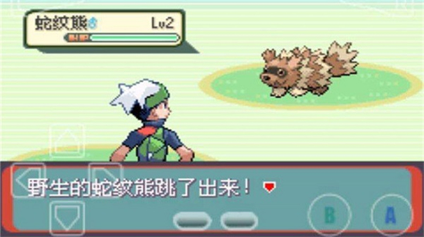 口袋妖怪漆黑的魅影自带金手指