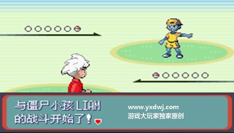 口袋妖怪蛇纹木手机版