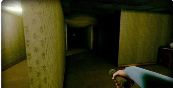 打开后室联机版