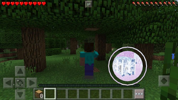 minecraft国际版手机版