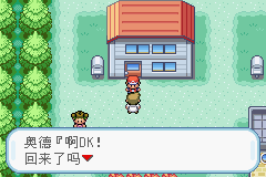 口袋妖怪火红金手指