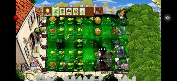 植物大战僵尸升天版
