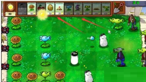 植物大战僵尸骷髅支线