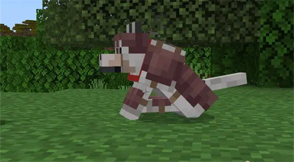 我的世界1.21国际版