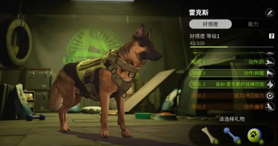 萤火突击国际版