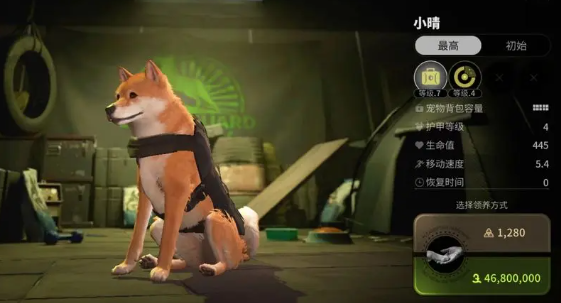 萤火突击国际版