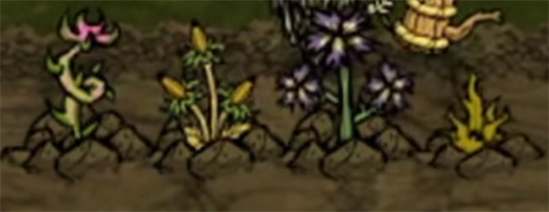 饥困荒野官方正版