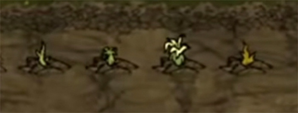 饥困荒野官方正版