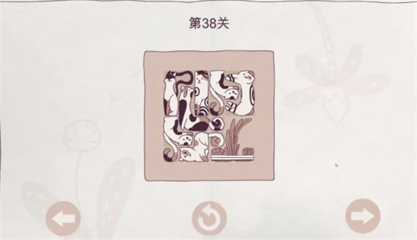 我的小猫贼好看