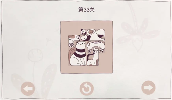 我的小猫贼好看