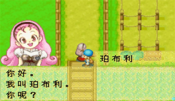 牧场物语矿石镇的伙伴们手机版