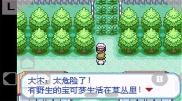 口袋妖怪火红内置修改器