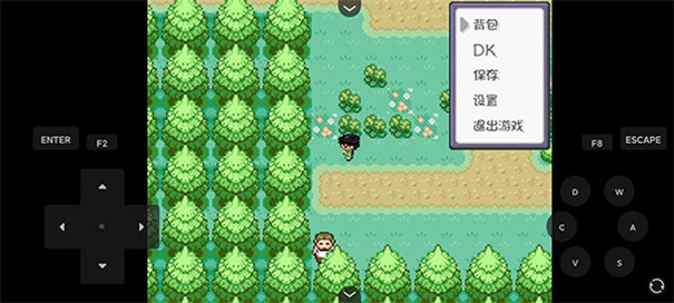 口袋妖怪蓝改版燃之智