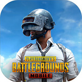 pubg和平精英国际服