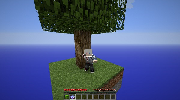 我的世界基岩版1.6