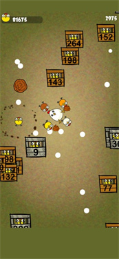 鸡你太美战斗鸡