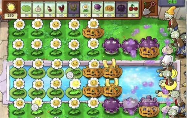 植物大战僵尸无名版