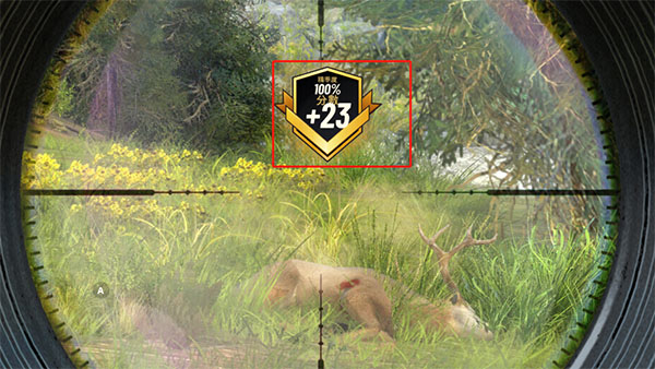 狩猎冲突国际服