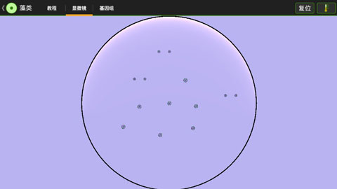 细胞实验室中文版