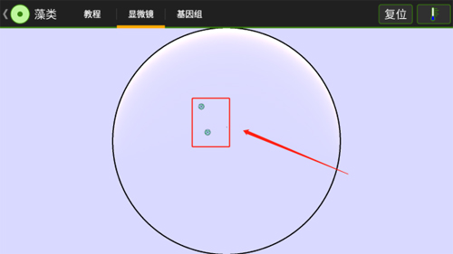 细胞实验室中文版