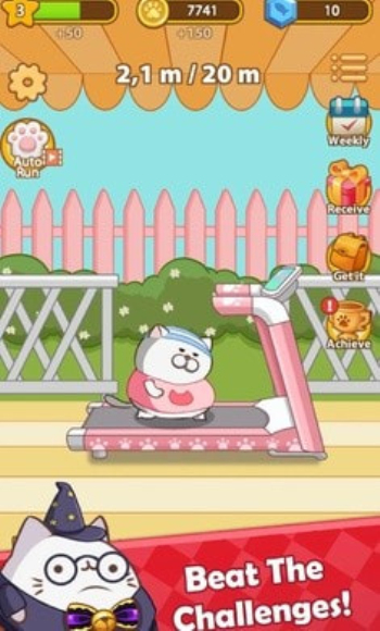 奔跑小猫最新版