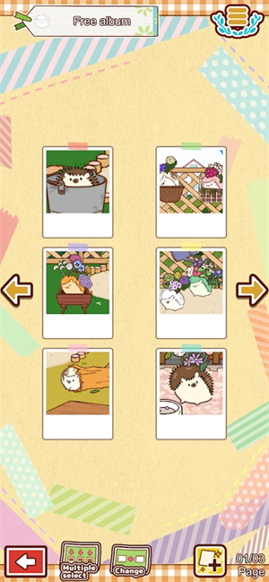 小花盆刺猬最新版