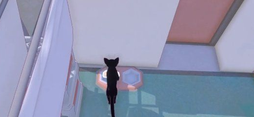 小猫咪大城市免费版