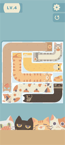 管道猫咪最新版