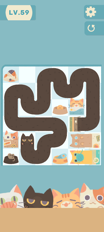 管道猫咪最新版