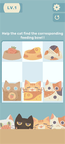 管道猫咪最新版