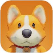 partyanimals国际服