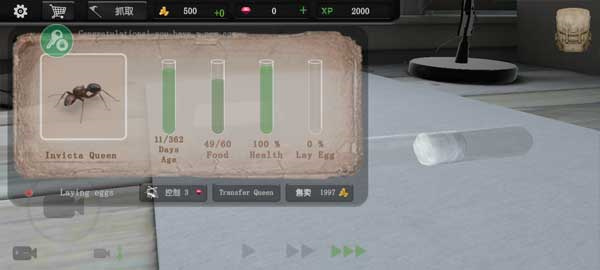 蚂蚁模拟大亨内置菜单