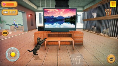猫咪模拟器2021