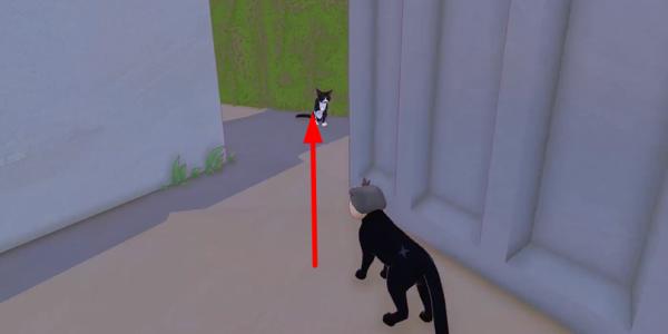 小猫咪大城市手机版