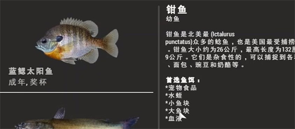 垂钓星球免费版