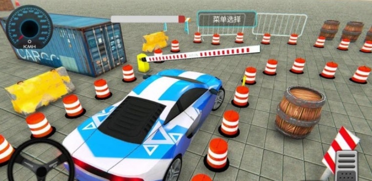 驾校科考模拟器