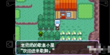 口袋妖怪刽曜之影最新版