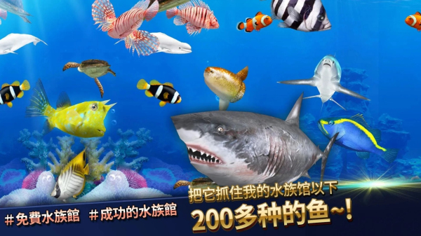 钓鱼竞争者最新版