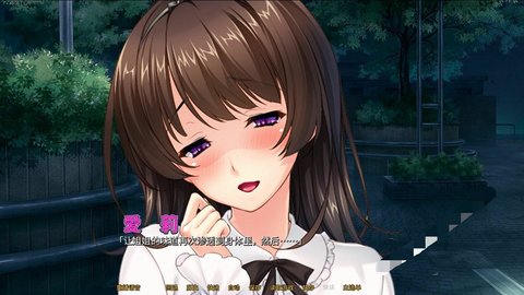 病娇姐姐的囚禁汉化版