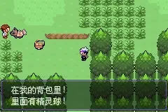 口袋妖怪漆黑的魅影5.0ex