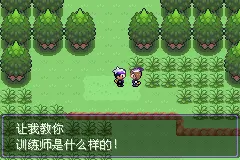 口袋妖怪漆黑的魅影5.0ex