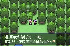 口袋妖怪漆黑的魅影5.0ex