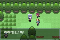 口袋妖怪漆黑的魅影5.0ex